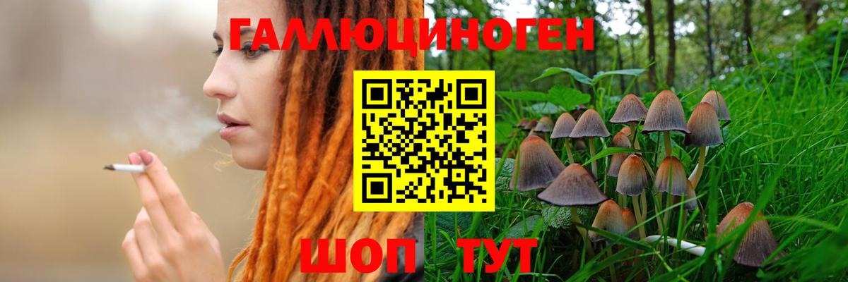 Верхняя Салда  Псилоцибиновые грибы мухоморы  Вход с VPN 